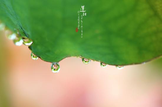 图片来源于摄影部落摄影师断魂剑魔