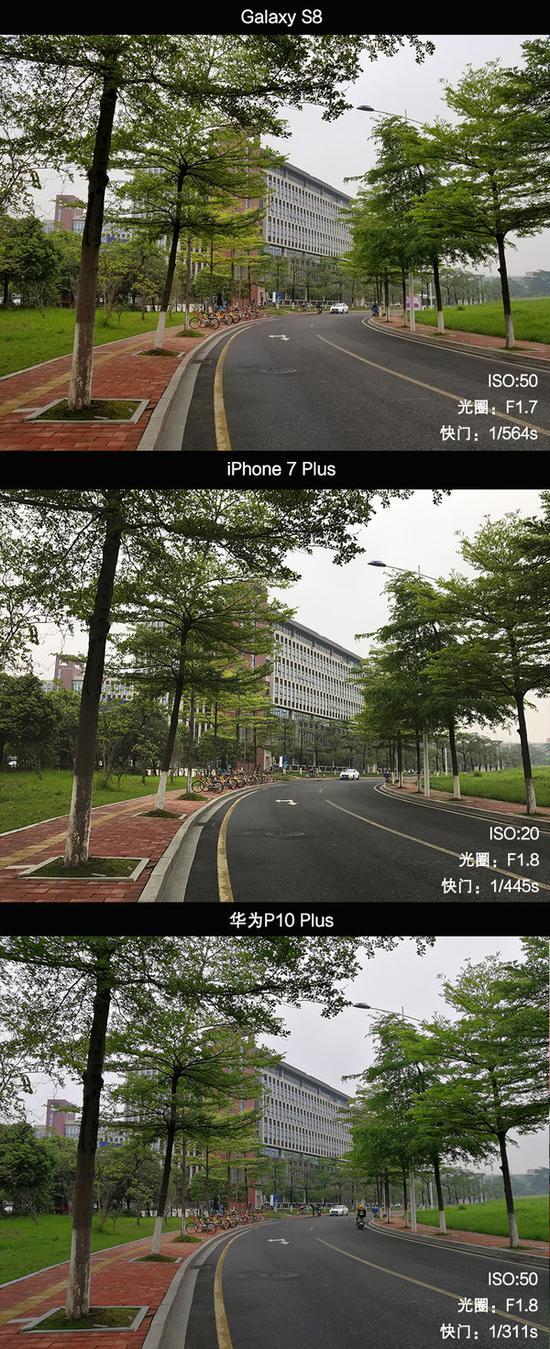 观察画面底部的树梢,iPhone 7 Plus轮廓清晰,其次三星S8勉强枝叶分离。