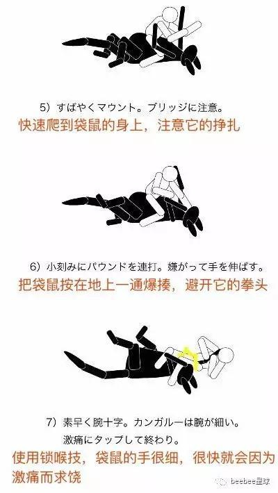 注意:以上的武术,在对付人类时同样有效。