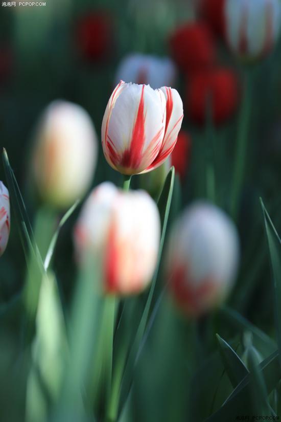 300mm,1/400s,F5.6,ISO 400