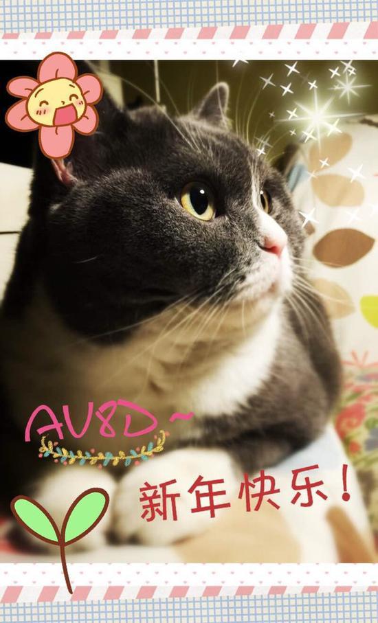 去年元旦拍的