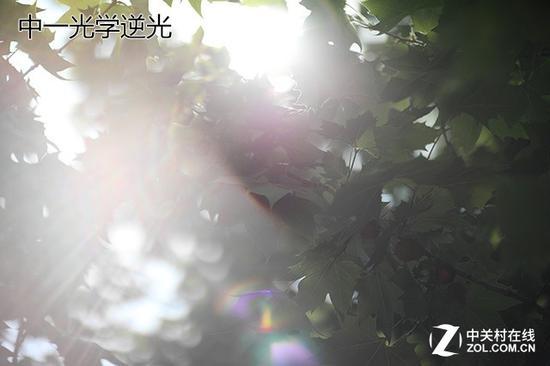 中一光学逆光