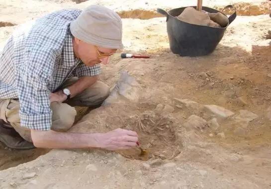 研究人员在埃及发掘猫的遗骸 图片来源:Hierakonpolis Expedition