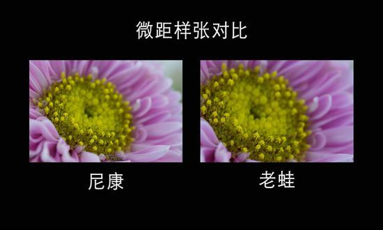 微距实拍样张对比4