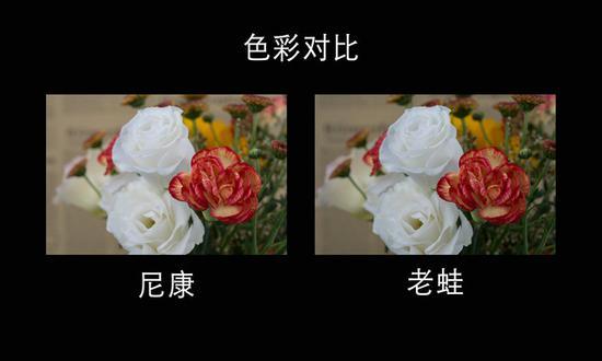 色彩对比2