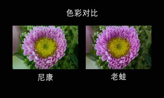 色彩对比1