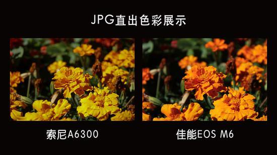 对于橙色的主体,两者的出片色彩也明显不太一样