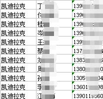 凯迪拉克车主