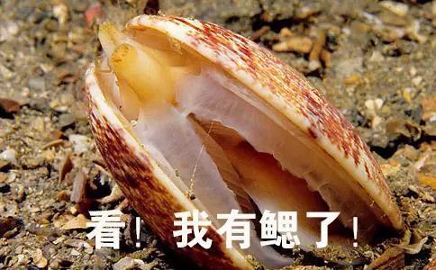 图片来源:http://news.99.com.cn/dashijianzt/fjcczh/