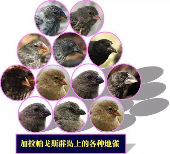 (来源http://old.pep.com.cn/)