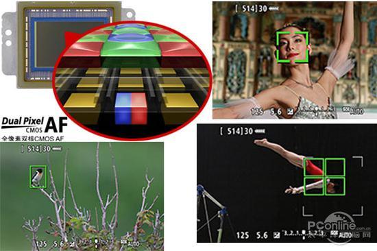 7D Mark II内置的全像素双核对焦使得佳能的实时拍摄体验大增