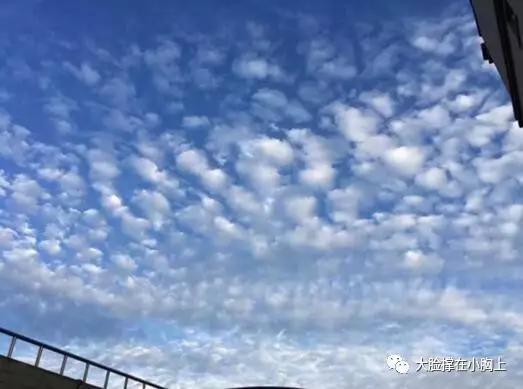 长春透光高积云