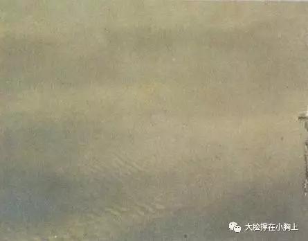 当年拍摄的“干涉条纹状地震云”(来源同上)