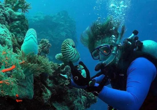 列昂尼德·莫罗兹,一位在位于佛罗里达的惠特尼海洋生物实验室工作的神经学家,认为栉水母区别于其他动物而独立演化出了神经元。图片由列昂尼德·莫罗兹提供
