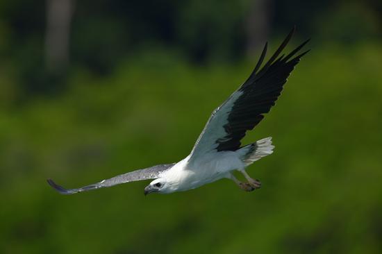 焦距:700mm 光圈:f/6.7 ISO感光度:400 曝光时间:1/3000s 曝光补偿:0EV 白平衡:手动
