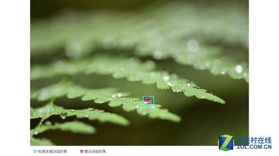 D850配备的微点AF模式示意图