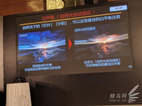 尼康D850拥有优化的自动白平衡功能,可对自然光进行自动适应