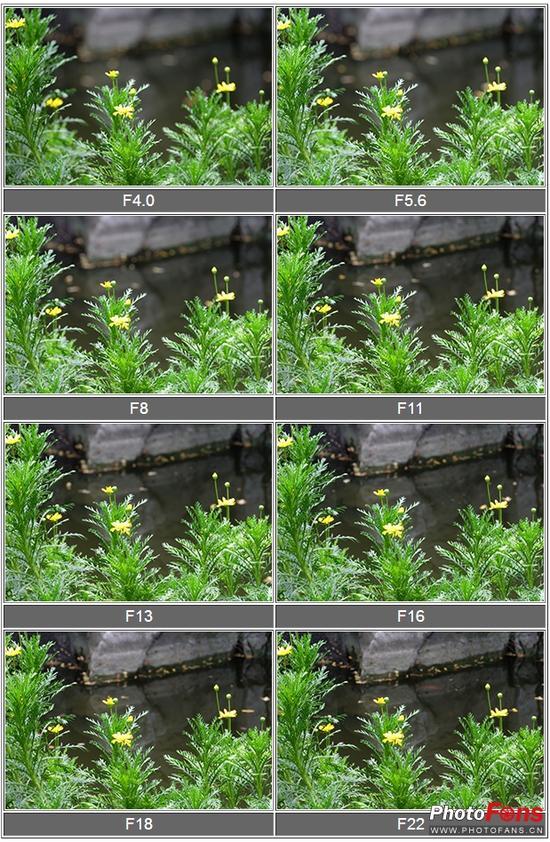 100mm端光圈虚化测试表