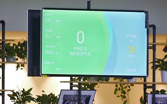 蚂蜂窝办公室的大显示屏上会实时显示屋内的空气质量数据
