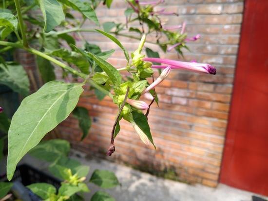 魅蓝Note6样张