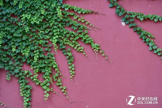 焦距:200mm 光圈:f/5.6 ISO感光度:200