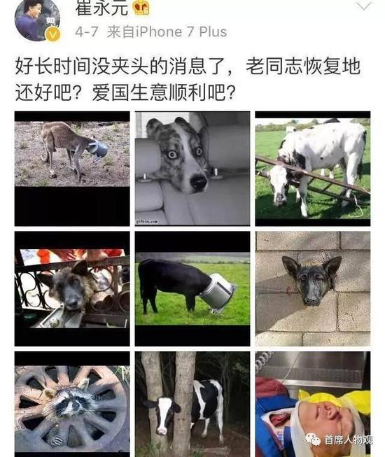 图:截图来自崔永元微博