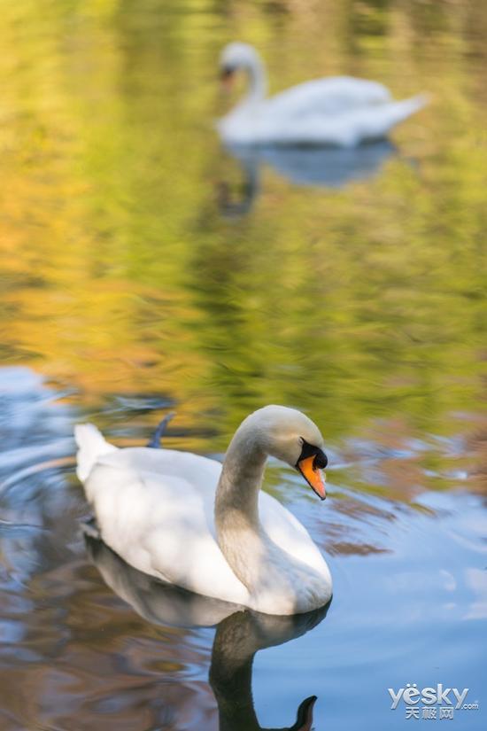 f/1.8 1/400 ISO64