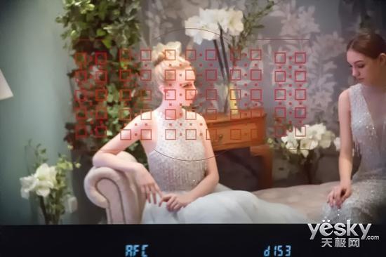 从D850的取景器中可见153个对焦点覆盖了大部分画面