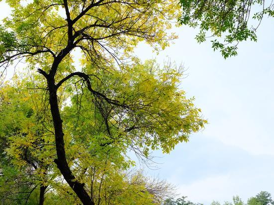 焦距:63mm 光圈:f/8.0 ISO感光度:400