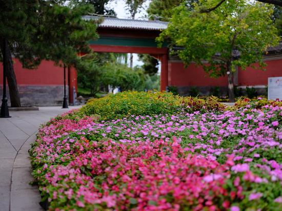 焦距:63mm 光圈:f/2.8 ISO感光度:400
