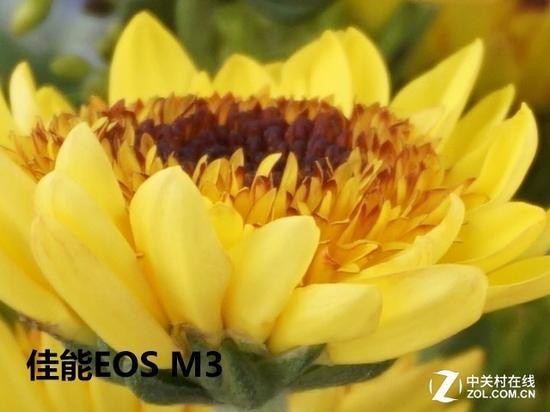 佳能EOS M3在ISO 100下,长焦端中心100%截图