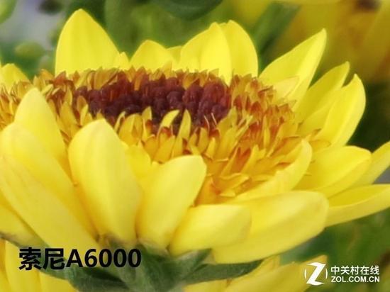 索尼EOS M3在ISO 100下,长焦端中心100%截图