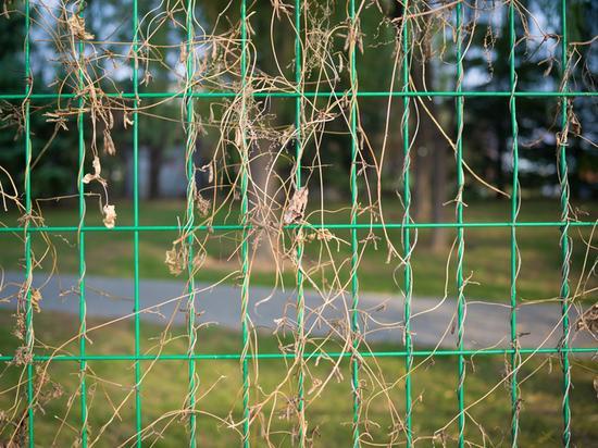 焦距:45mm 光圈:f/3.5 ISO感光度:100