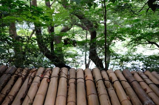 焦距:23mm 光圈:f/2.0 ISO感光度:400