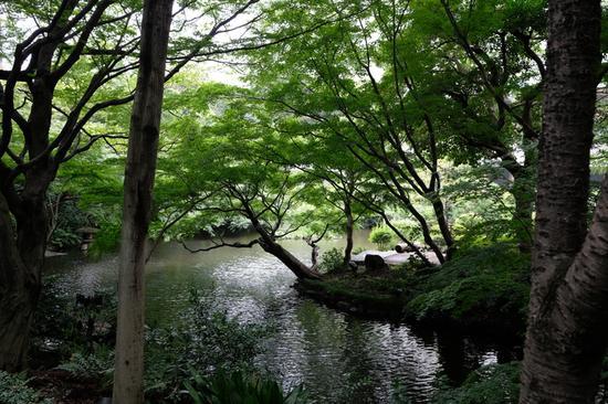 焦距:23mm 光圈:f/5.0 ISO感光度:400