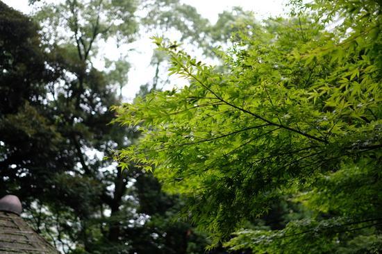 焦距:23mm 光圈:f/2.0 ISO感光度:200