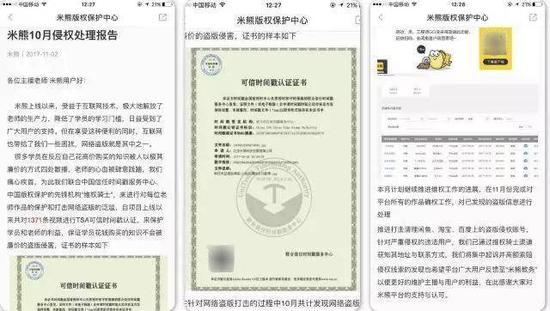侵权处理报告