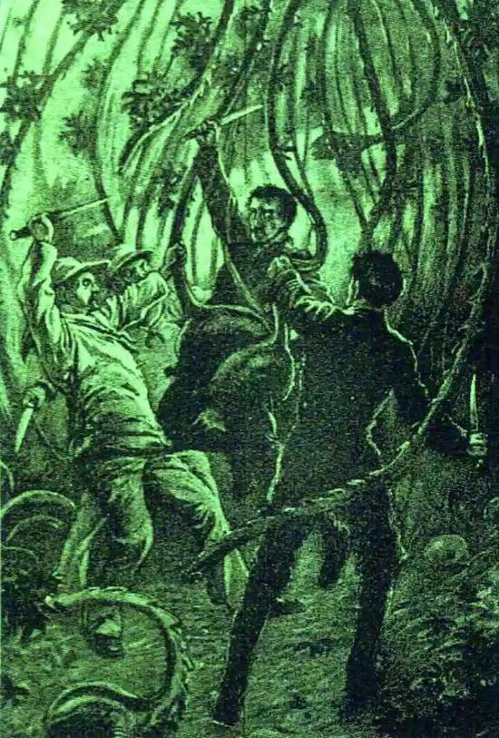 1899年9月,《海滨杂志》(Strand Magazine)中描绘的一棵食人树。图源:karlshuker