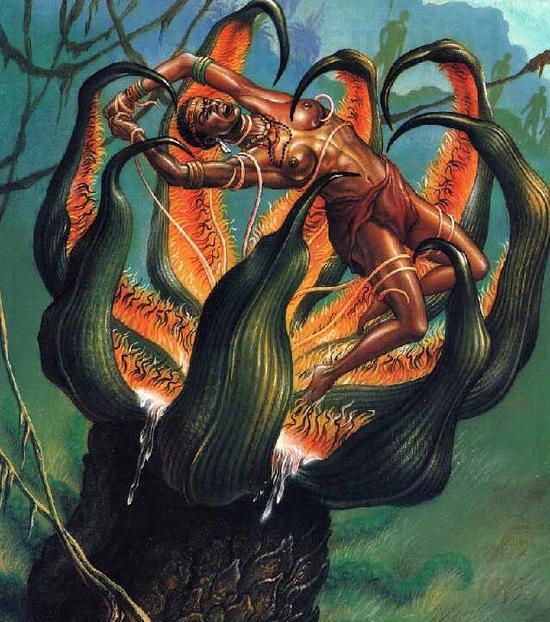 1997年3月,西班牙杂志《Enigmas》中有关马达加斯加食人树的插图。图源:karlshuker
