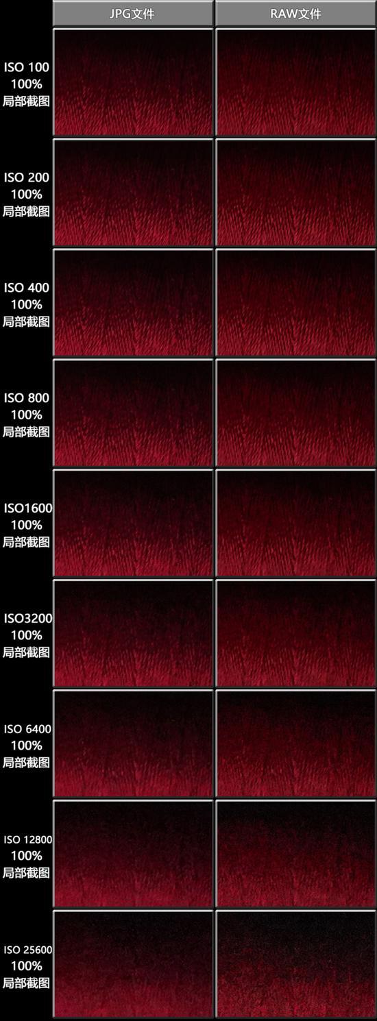 JPG文件与RAW文件控噪对比