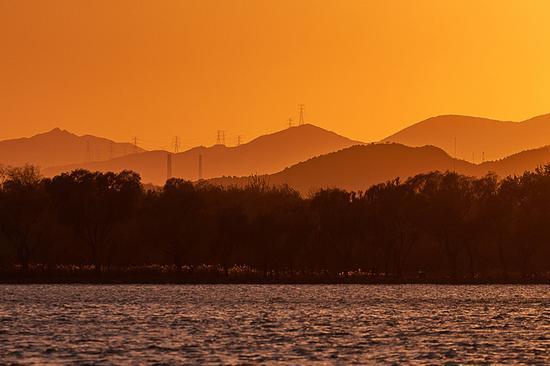 A7RM3,焦距:200mm,光圈:F5.6,快门:1/2000s,ISO:100