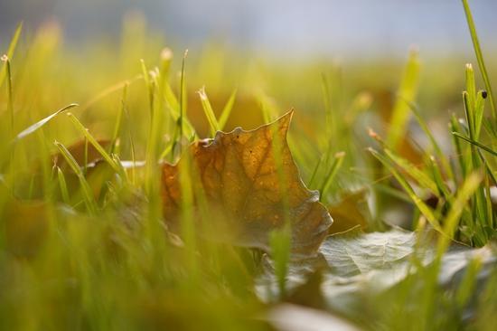 焦距:105mm 光圈:f/5.0 ISO感光度:800