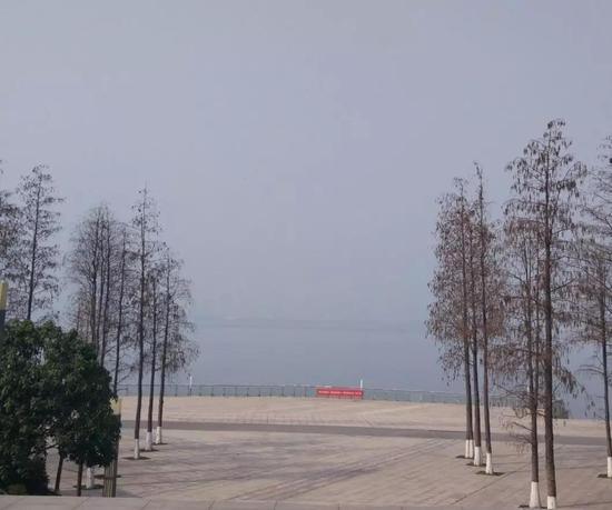 这条江是长江,对面是汉口。我很久没去了。(摄于2月3日)