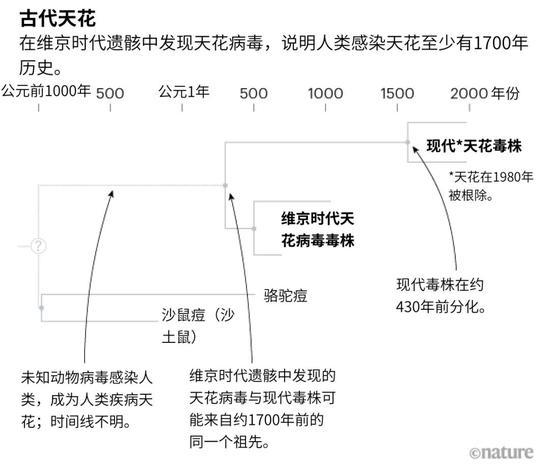 来源:B。 Mühlemann, M。 Sikora & T。 Jones