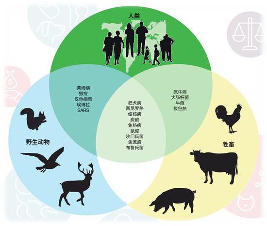 ▲常见的人畜共患病(图片来源:维基共享资源)