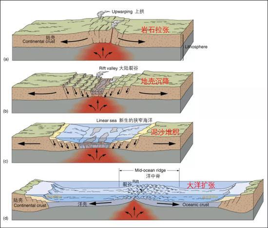 陆地拉分形成海洋示意图 图中:a。地下热物质上涌,地壳岩石隆起,形成密集断裂和火山;b。热物质继续上涌,迫使地壳向两侧裂开,地壳岩石沿断裂带塌陷形成裂谷,火山多发;c。继续拉张,地壳持续塌陷,周围海水灌入,形成浅海;d。拉张规模继续扩大,洋中脊和洋壳形成,新生海洋两侧的大陆架上,堆积厚厚的沉积物(浅黄色区域)。这一模型可以用来解释大西洋的形成,也可以解释印度板块边缘浅海沉积岩的堆积过程。