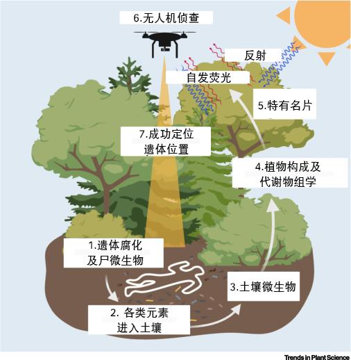 图片来自论文,翻译:贺紫宸