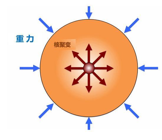 使恒星向内坍缩的重力与使恒星向外膨胀的核聚变反应在主序恒星阶段达到平衡。原始图片来源:http://large.stanford.edu/courses/2011/ph241/olson1/