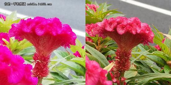 ▲细节对比(左:荣耀9i/右:红米note5)