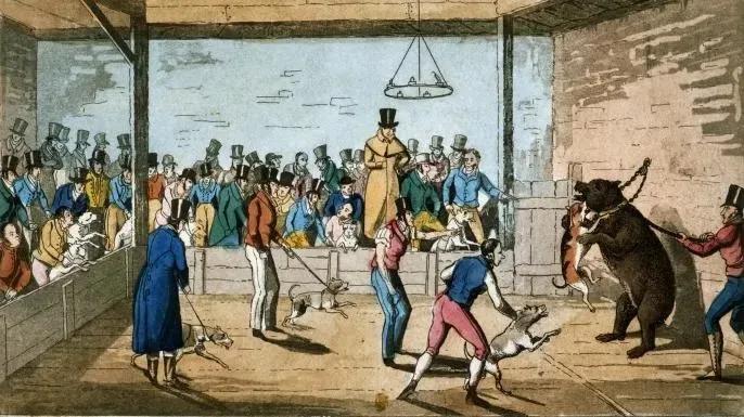1820年,伦敦,熊犬相斗,在当时这是最受欢迎的活动之一